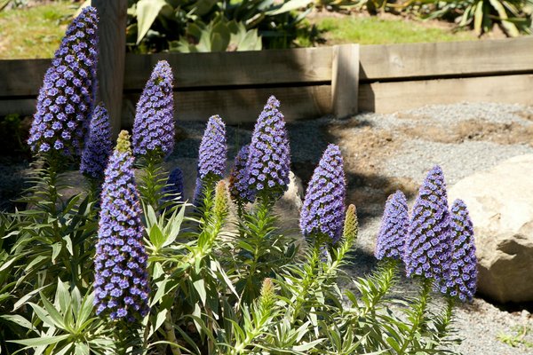 Optimisation de l"eau dans les maisons écologiques : avantages et inconvénients à découvrir